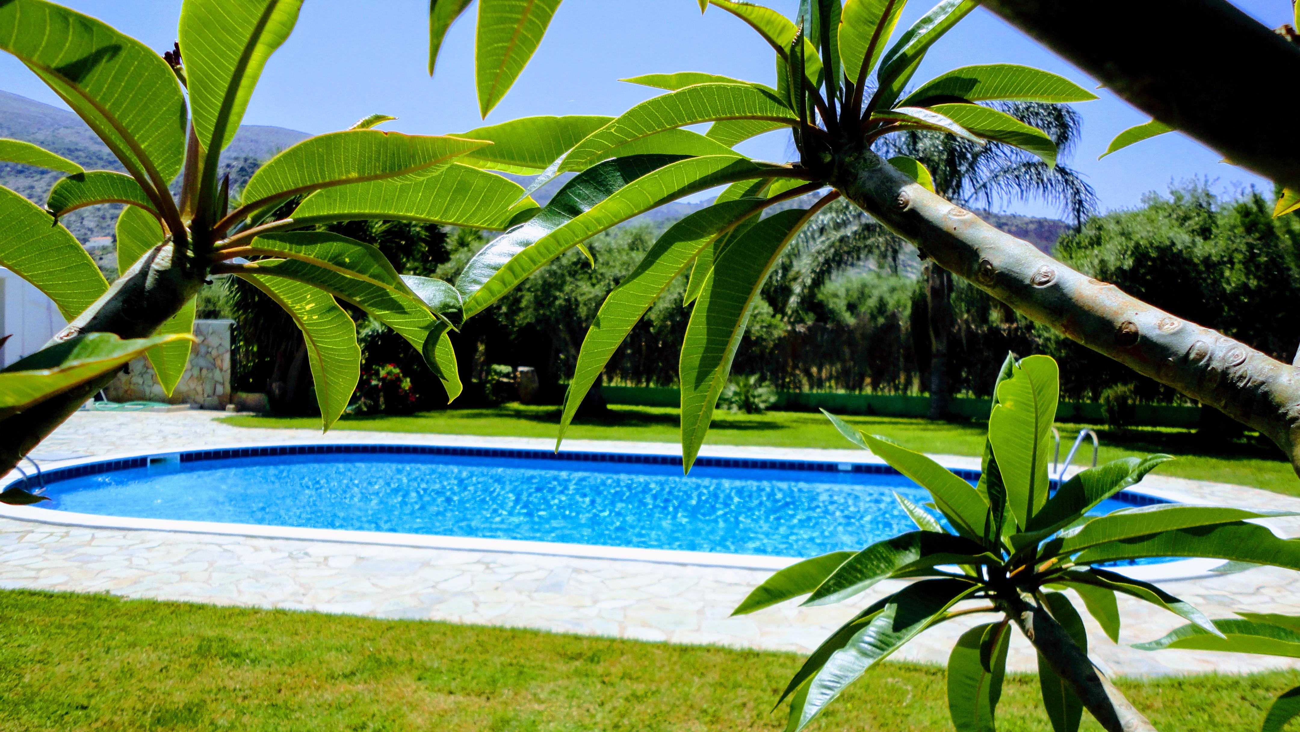 Ibiscus Hotel Malia Exterior photo